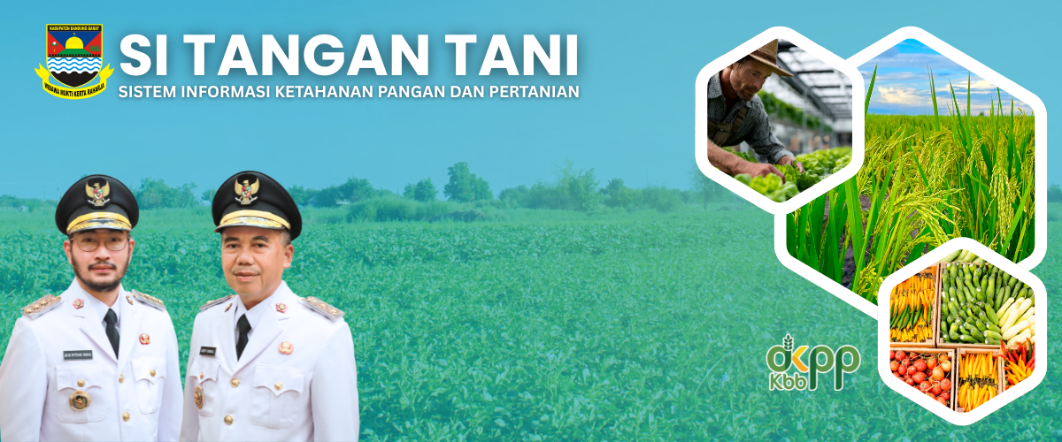 Banner DKPP