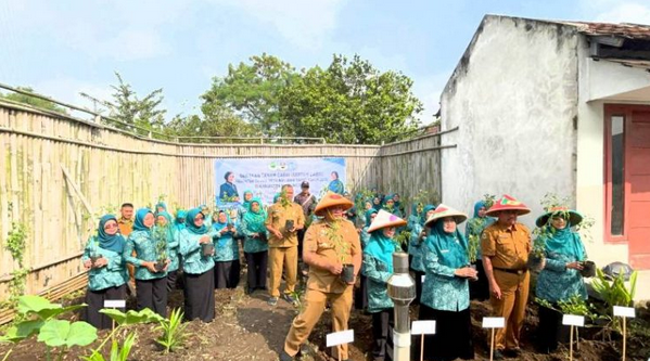 Dorong Ketahanan Pangan, PKK Bandung Barat Gaungkan Gerakan Tanaman Cabai